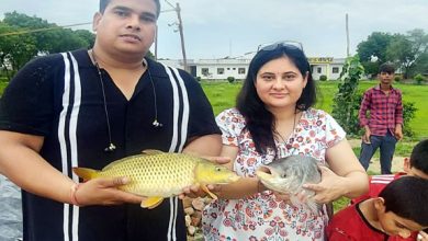 Photo of मत्स्य पालन से आधी आबादी को भी आत्मनिर्भर बना रही डबल इंजन सरकार