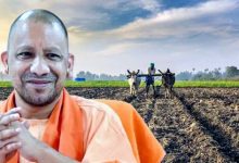 Photo of तिल की खेती को प्रोत्साहन दे रही योगी सरकार