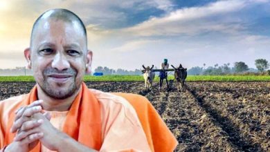 Photo of तिल की खेती को प्रोत्साहन दे रही योगी सरकार