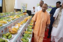 Photo of तकनीक का उपयोग कर बागवानों ने किया शानदार प्रदर्शन : योगी