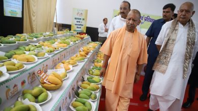 Photo of तकनीक का उपयोग कर बागवानों ने किया शानदार प्रदर्शन : योगी