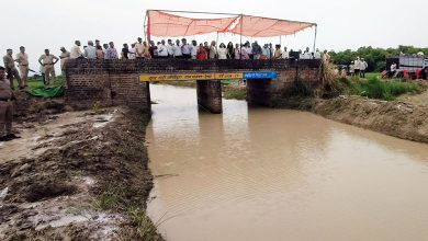 Photo of CM योगी की पहल से पुनर्जीवित हुई नून नदी, लौटी हरियाली और पहचान