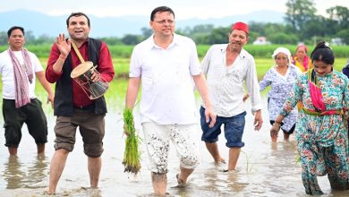 Photo of CM धामी ने खेत में धान रोपाई कर किसानों को किया नमन