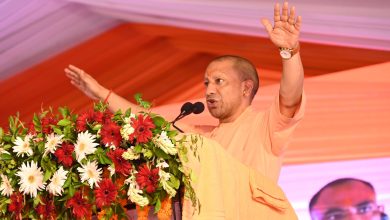 Photo of हमने आठ साल में 204 करोड़ पौधे लगाए, 5 लाख एकड़ में हुआ वनाच्छादन : योगी