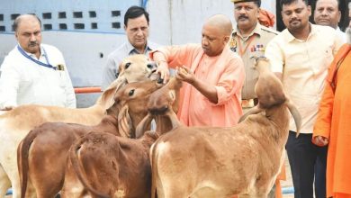 Photo of प्रदेश के हर मंडल में बनेगी ‘आदर्श गोशाला’