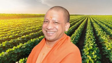 Photo of मक्का और आलू की खेती से किसानों की आमदनी बढ़ाएगी योगी सरकार