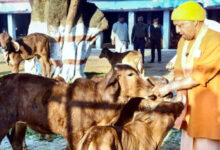Photo of यूपी में गाय के गोबर से बनेगा कपड़ा और बायोप्लास्टिक