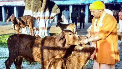 Photo of यूपी में गाय के गोबर से बनेगा कपड़ा और बायोप्लास्टिक