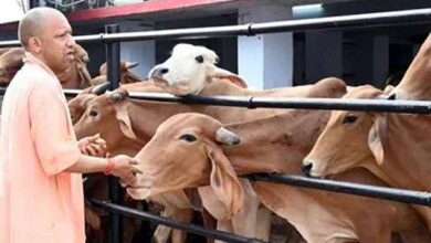 Photo of सीएम योगी के नेतृत्व में गो सेवा से तरक्की करेगा यूपी